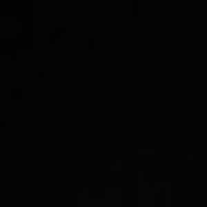 Meet your Posher, Wesley